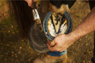 Farrier