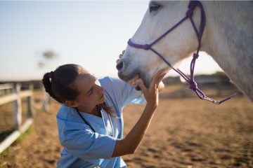 Horse Veterinarian
