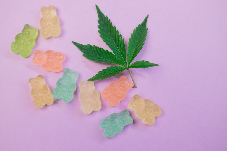 CBD gummy bears laying on a purple surface with a cannabis plant next to them