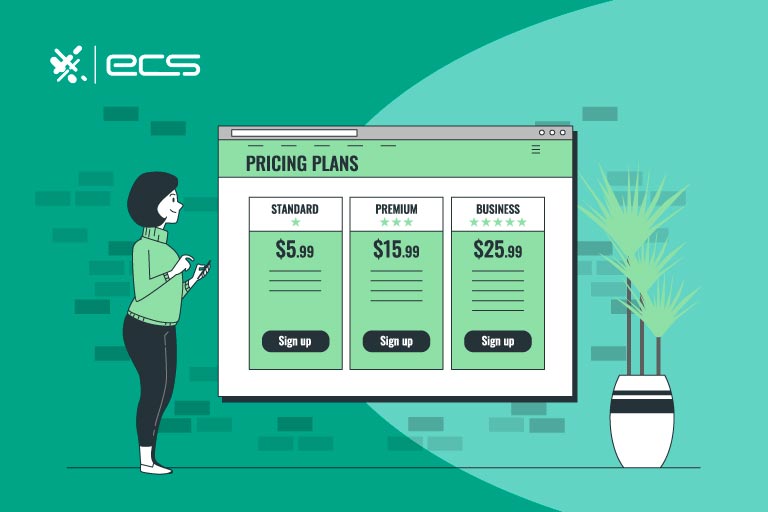 This illustration depicts a woman interacting with her smartphone, which reflects an oversized webpage displaying Standard, Premium, and Business pricing plans