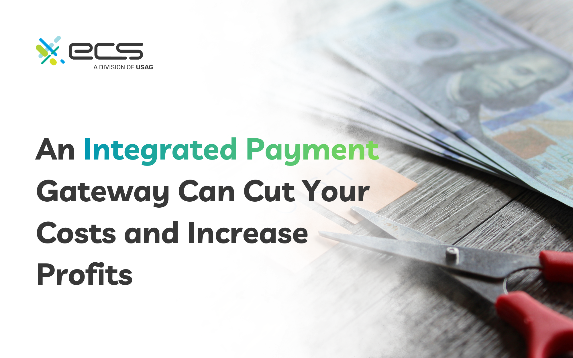 An Integrated Payment Gateway Can Cut Your Costs and Increase Profits