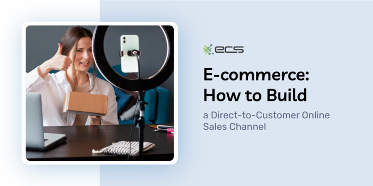 E-commerce: How to Build a Direct-to-Customer Online Sales Channel ...