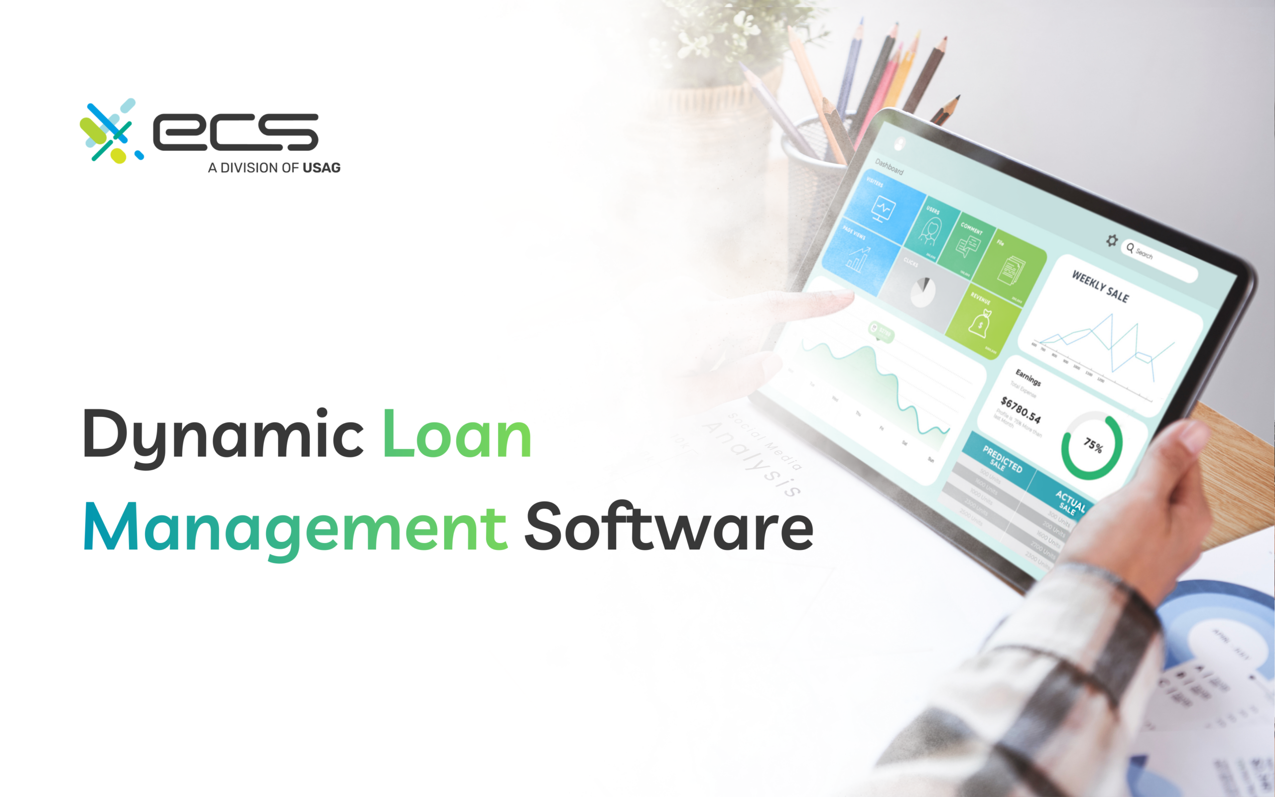 Dynamic Loan Management Software