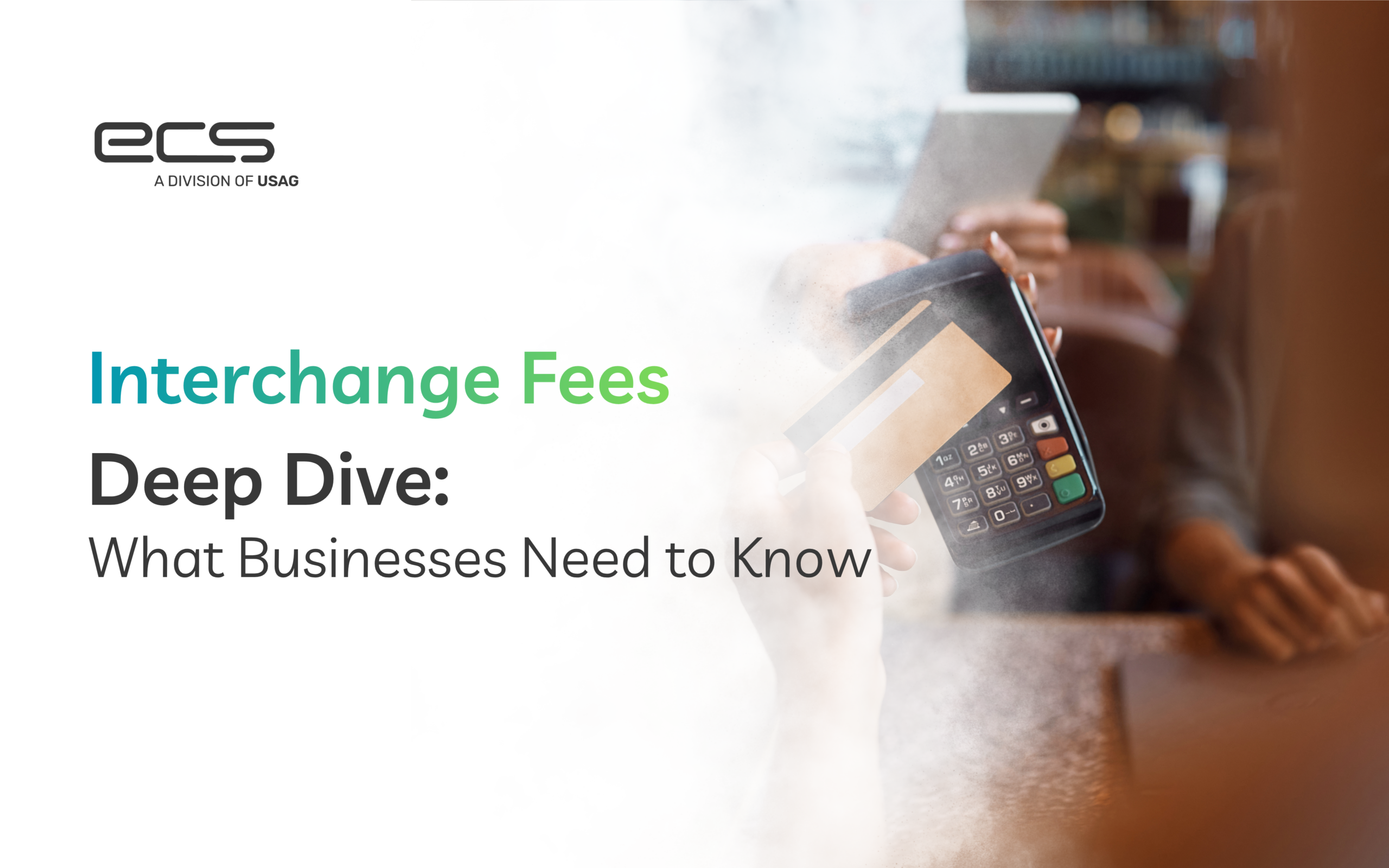 Interchange Fees Deep Dive: What Businesses Need to Know